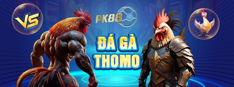 Đá gà Thomo