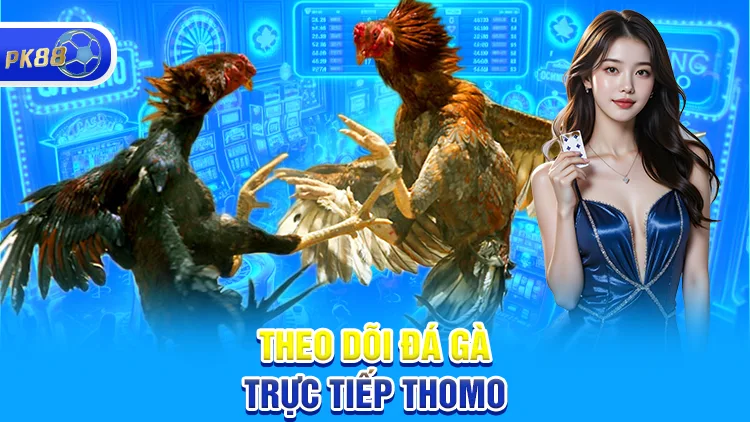 Theo dõi đá gà thomo trục tiếp trên điện thoại